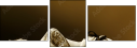 29966213