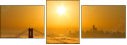 300812119