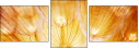 30258126