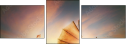 30473389