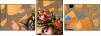 30491972