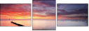 30759010