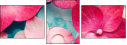 30909290