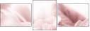 31030439