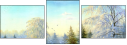 31192361