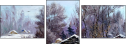 31220669