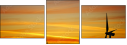 31269378