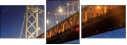 313371516