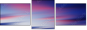 31651562