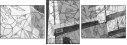 31753074