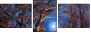 31860208