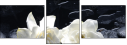 32251345