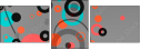 32424056