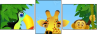 32460462