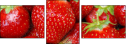 3269949