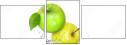 32812365