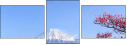 32966670