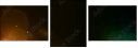 33007658