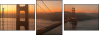 33120636