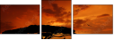 33526159