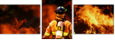 33557057
