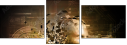 34266129