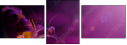 34429409