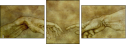 35198447