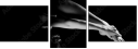 35216204