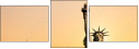 35317477