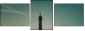 35687420