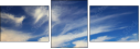 36106694