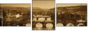 36297051