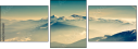 36423660