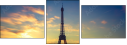 36677495