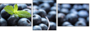 37936052