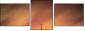 38051708