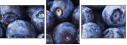 38114663