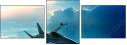 38251844