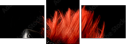 38661910