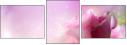39098232