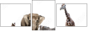 39202721