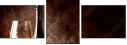 39688407