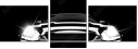 39752281