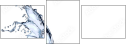 39793377