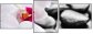 40051892