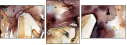 41178185