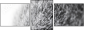 41365560