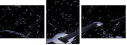 41836378