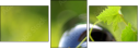 4185786